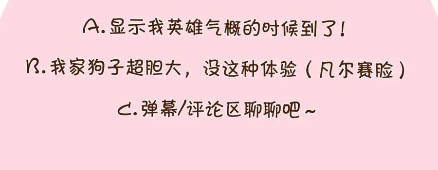 《我的狗子叫棉花》第8话 大狗也胆小？ 第95页