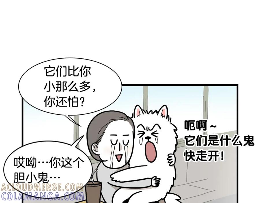 《我的狗子叫棉花》第8话 大狗也胆小？ 第33页