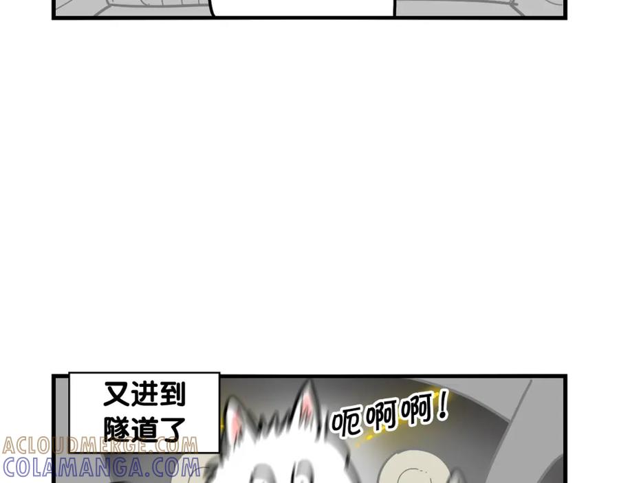 《我的狗子叫棉花》第8话 大狗也胆小？ 第45页