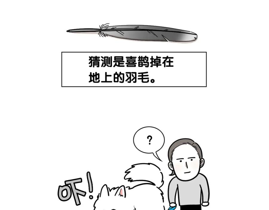 《我的狗子叫棉花》第8话 大狗也胆小？ 第12页