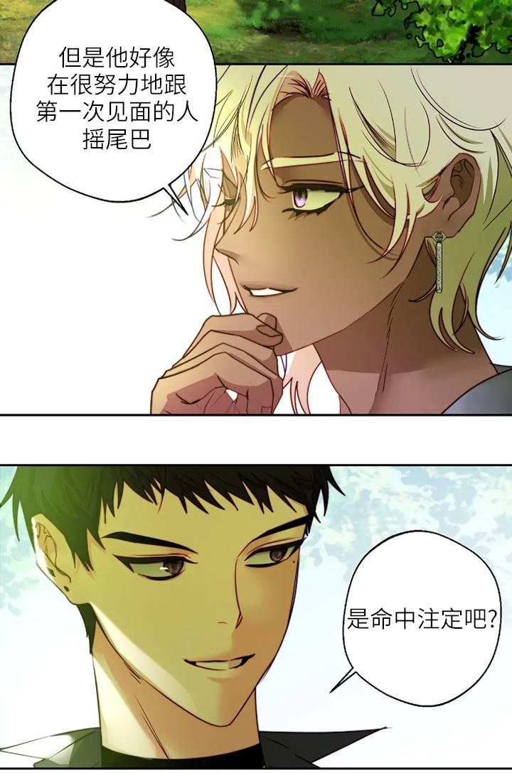 《扑通扑通攻略记》第100话 第45页