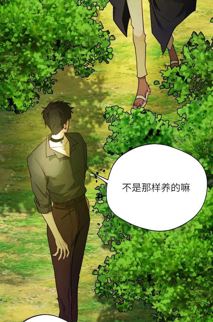 《扑通扑通攻略记》第100话 第44页
