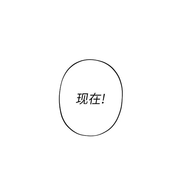 《扑通扑通攻略记》第102话 第66页
