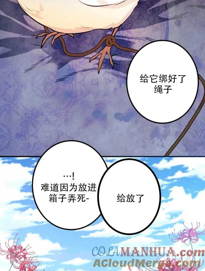 《扑通扑通攻略记》第13话 第49页
