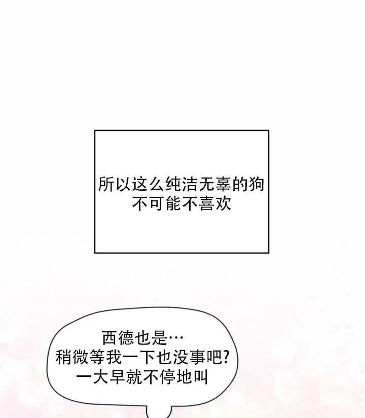 《扑通扑通攻略记》第38话 第57页