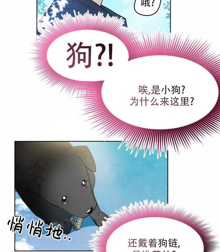 《扑通扑通攻略记》第38话 第41页