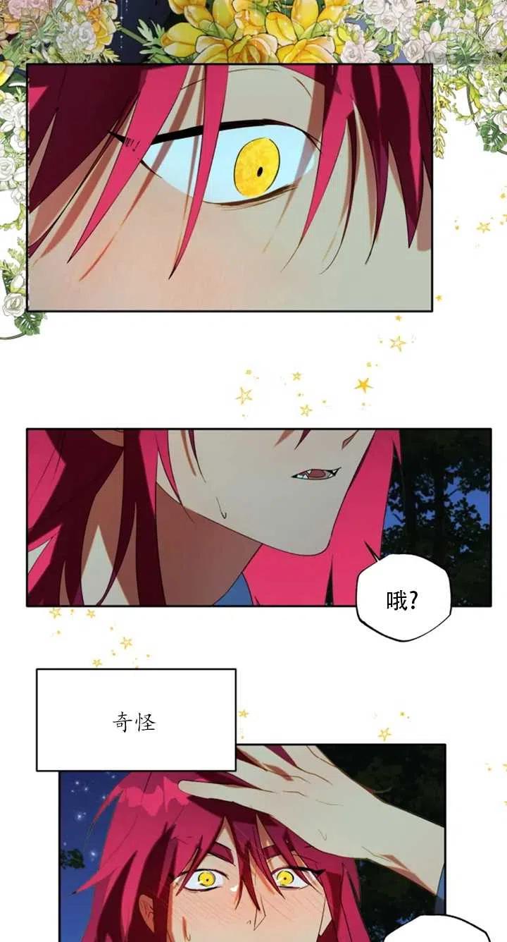 《扑通扑通攻略记》第55话 第3页