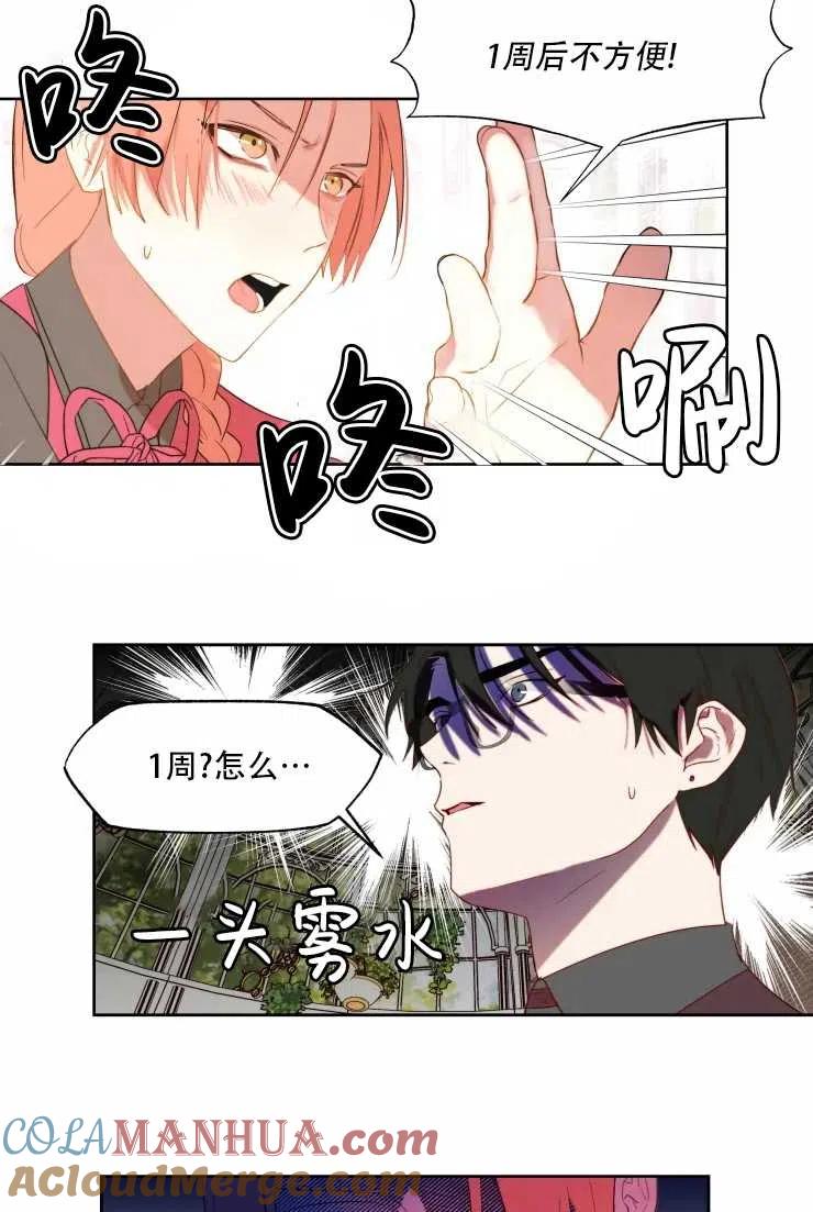 《扑通扑通攻略记》第62话 第31页
