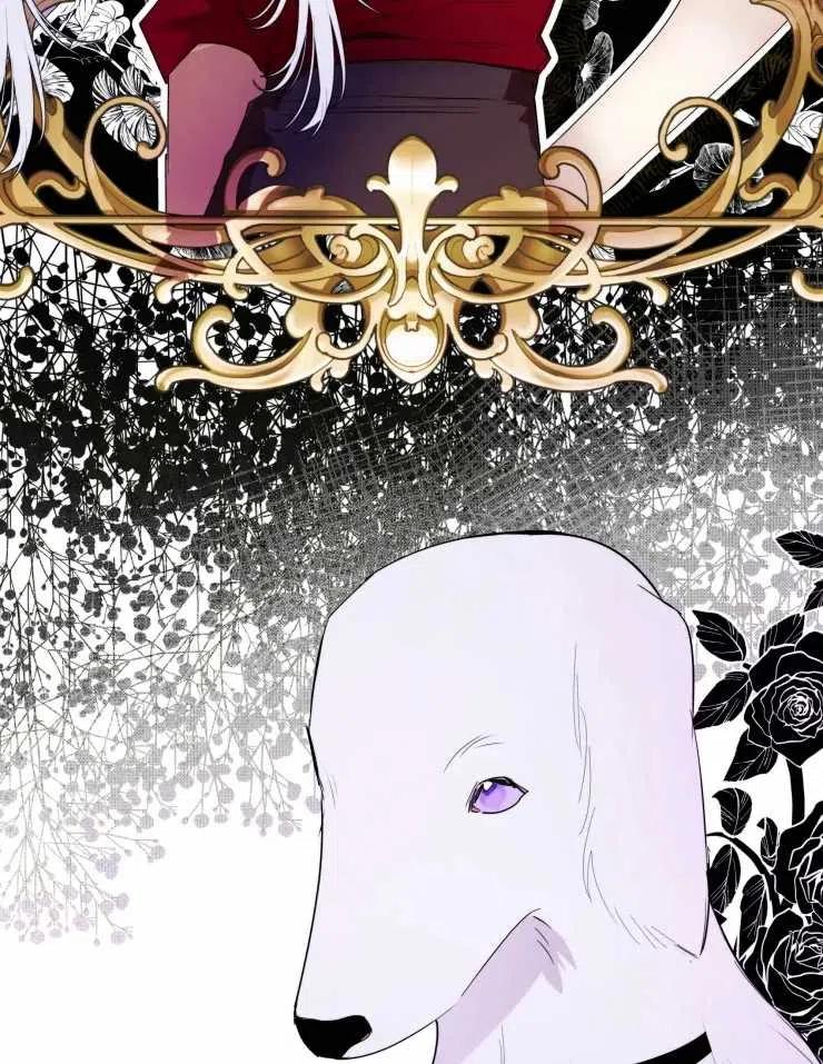 《扑通扑通攻略记》第67话 第3页