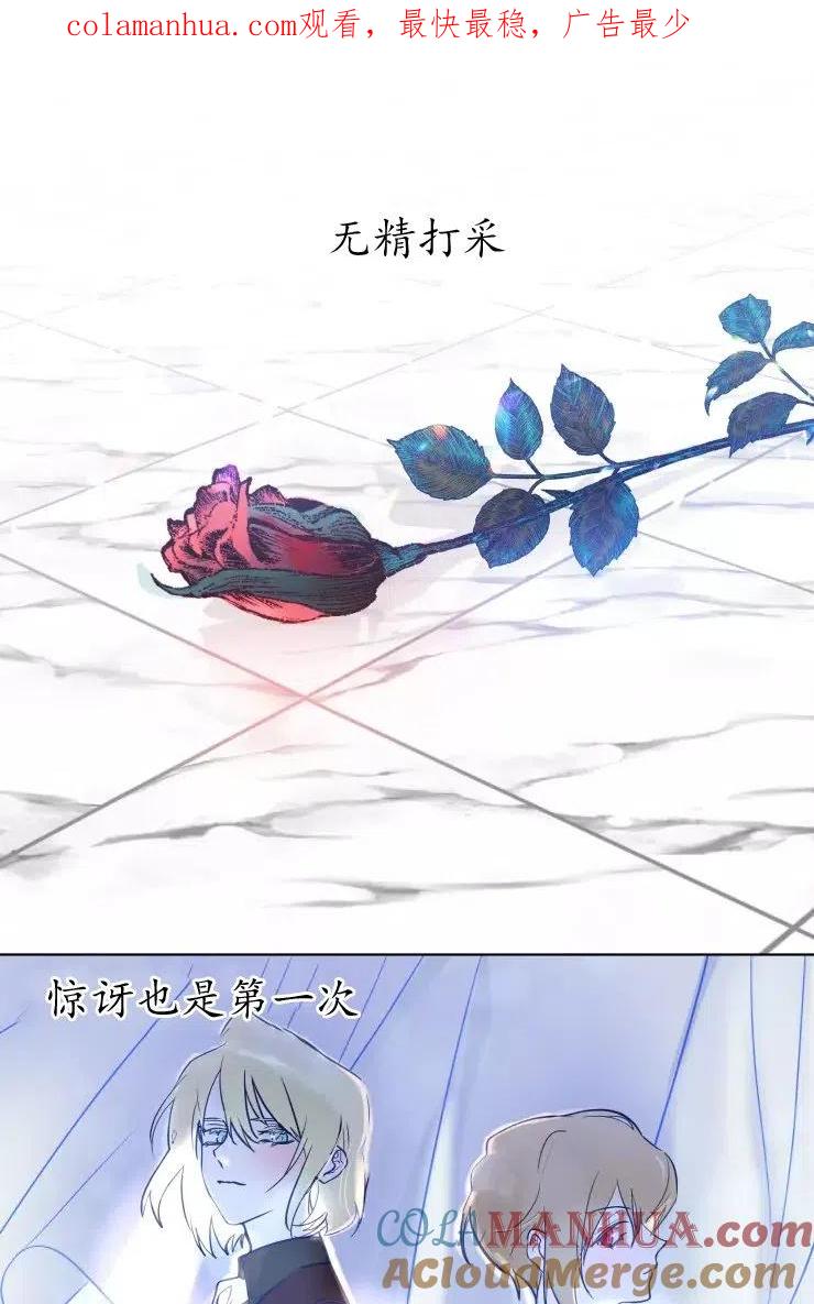《扑通扑通攻略记》第81话 第1页