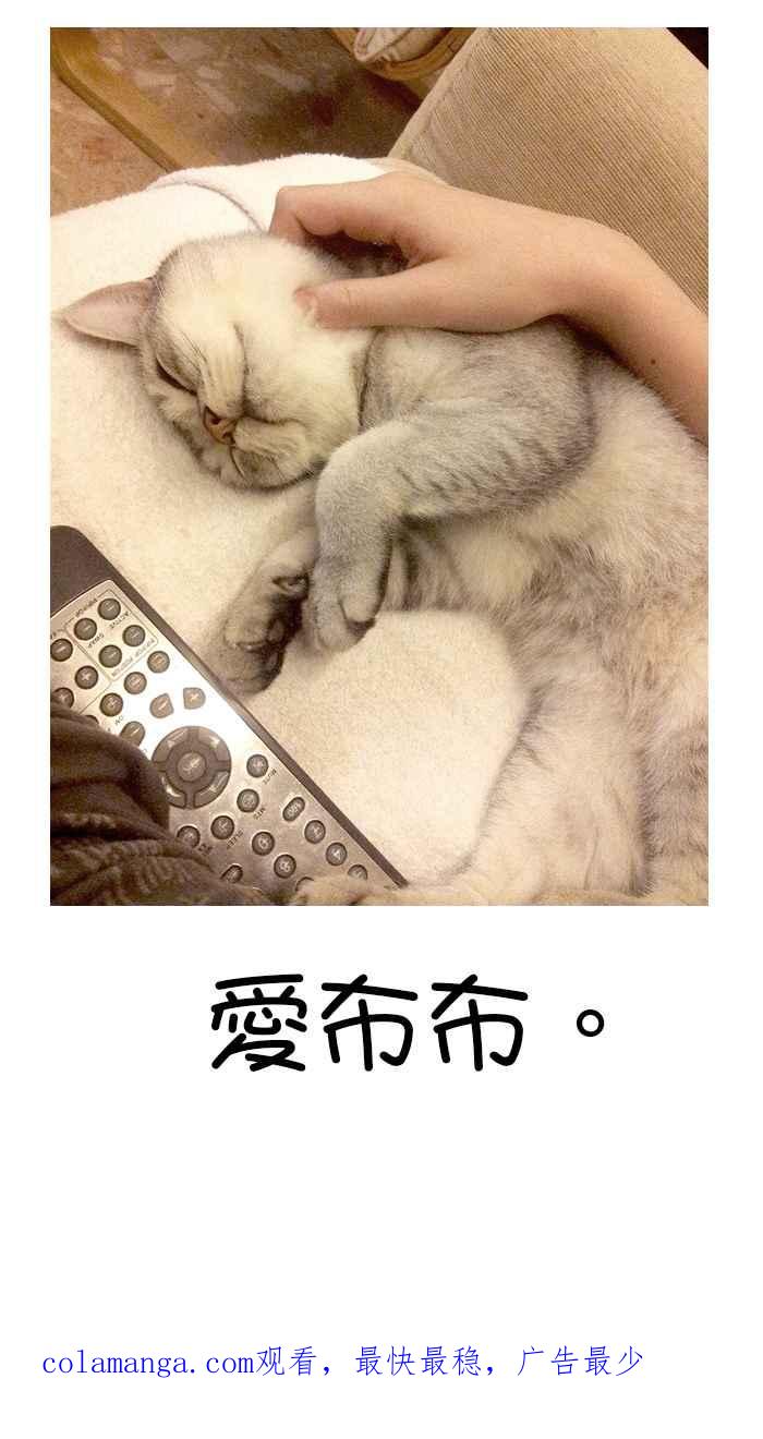 猫剑客 [第102话] 折翼天使 肆拾伍，天外飞仙 第50页