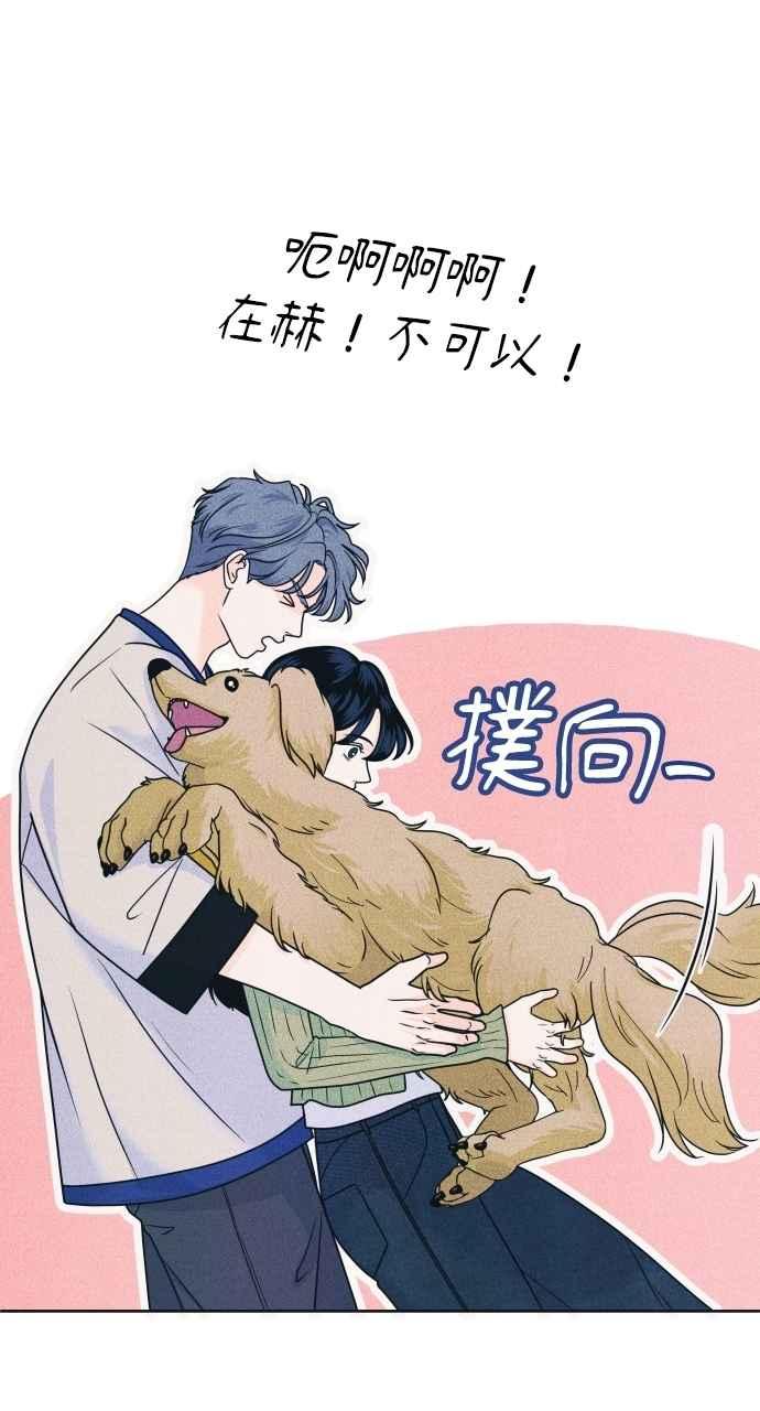 《内向男女》第85话 过来玩 第48页