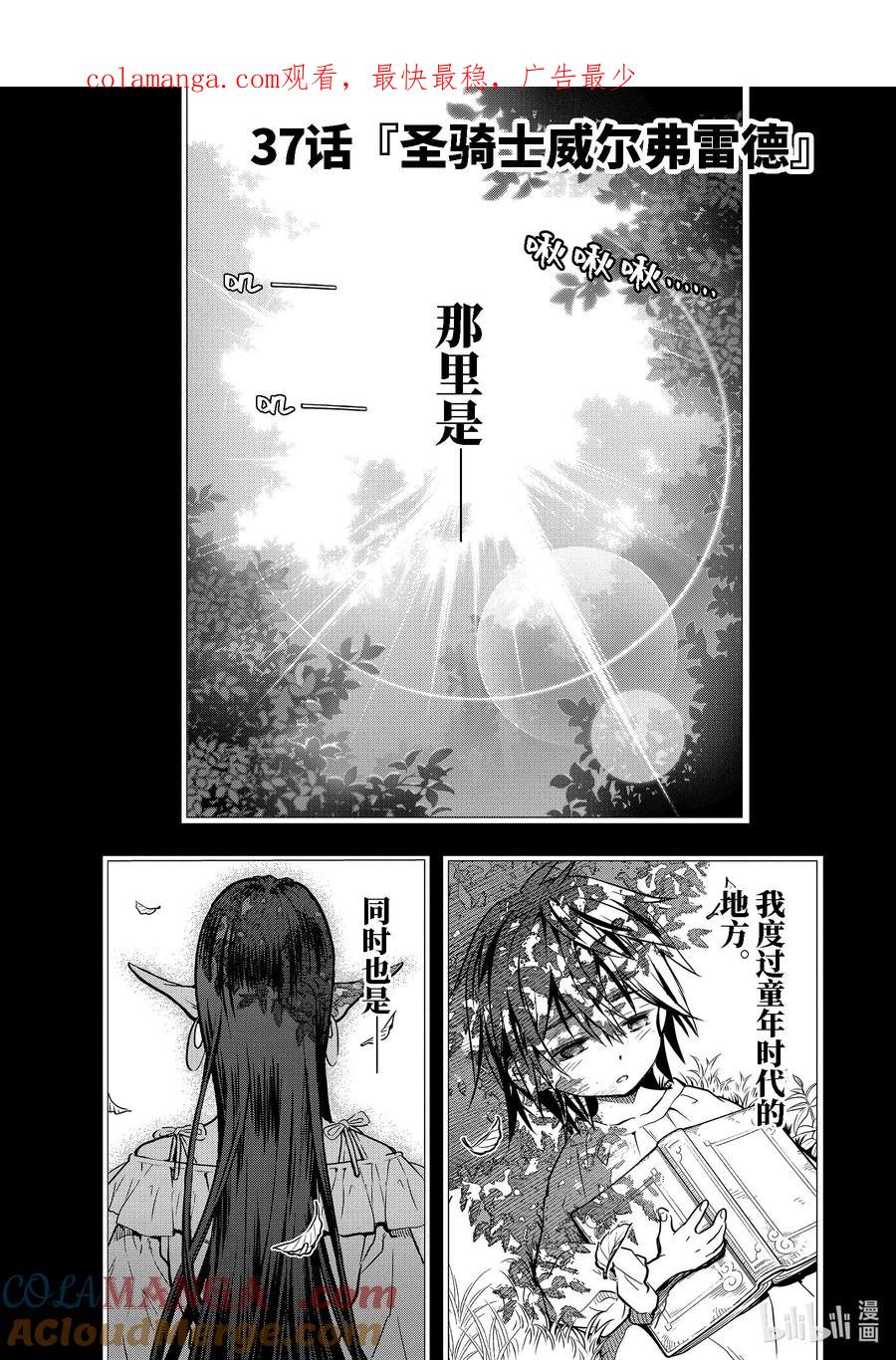 《『你们先走我断后』，于是10年后我成为了传说》37-1 圣骑士威尔弗雷德 第1页