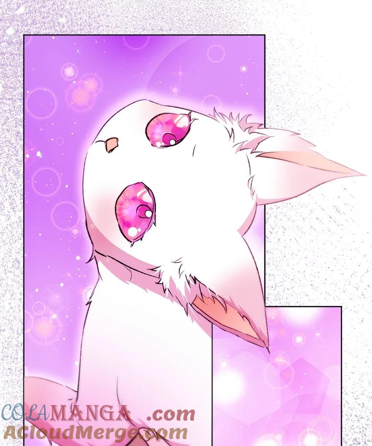 重生为神兽宝宝 - 41.贝尔蒙失踪 - 第65张图