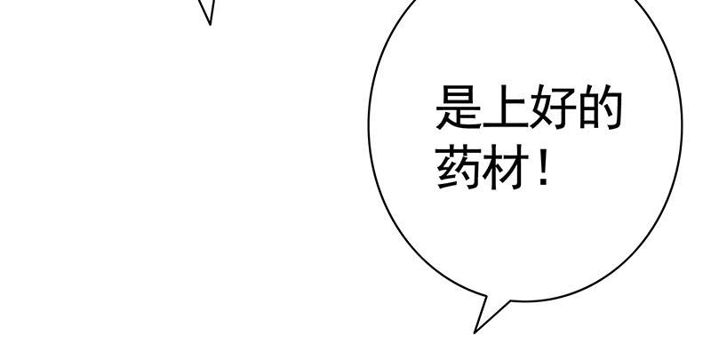 将进酒 来瓶风油精降降火气 第17页