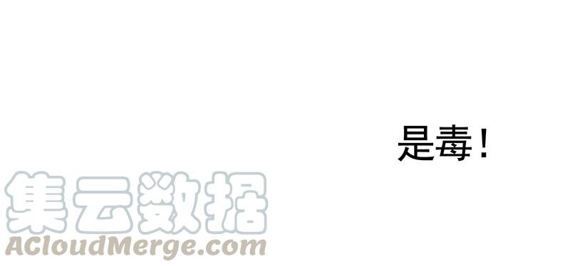 将进酒 来瓶风油精降降火气 第11页