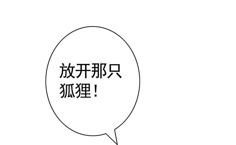 将进酒 来瓶风油精降降火气 第13页
