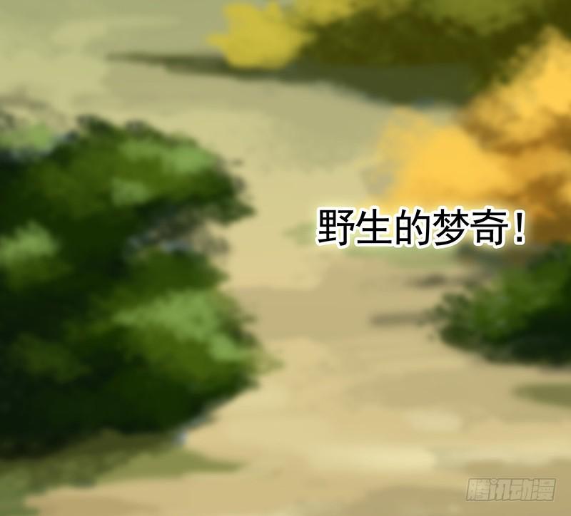将进酒 舌尖上的王者峡谷 第33页