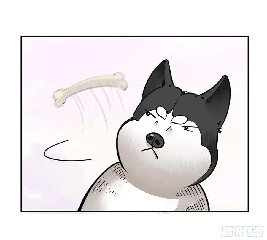将进酒 就决定是你了！哮天犬！ 第22页