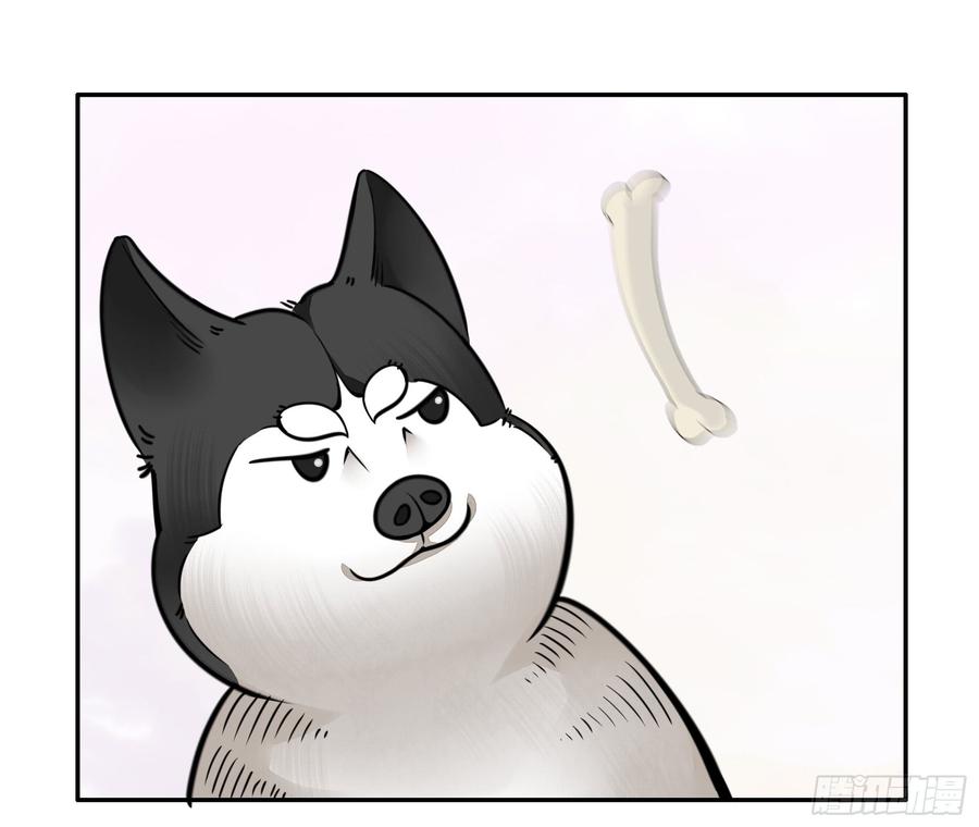将进酒 就决定是你了！哮天犬！ 第17页
