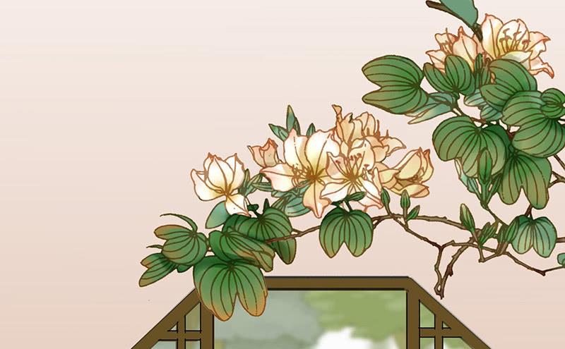 将进酒 等一个奇迹出现 第14页