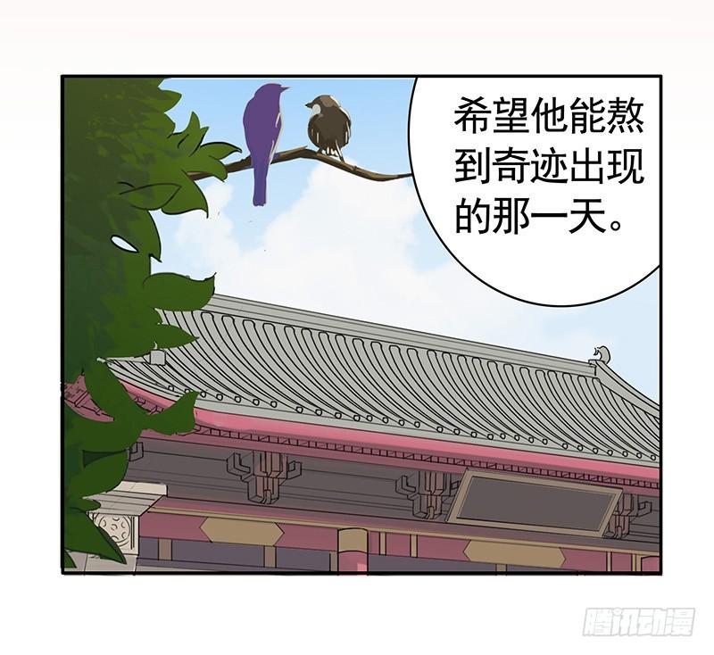 将进酒 等一个奇迹出现 第17页