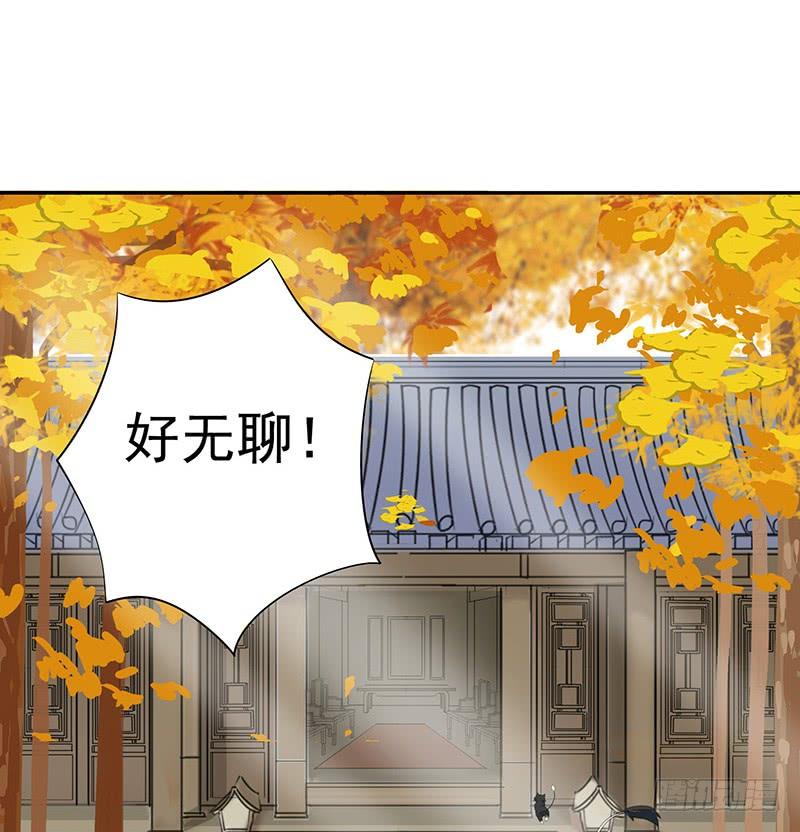 将进酒 我想死你们啦！ 第5页