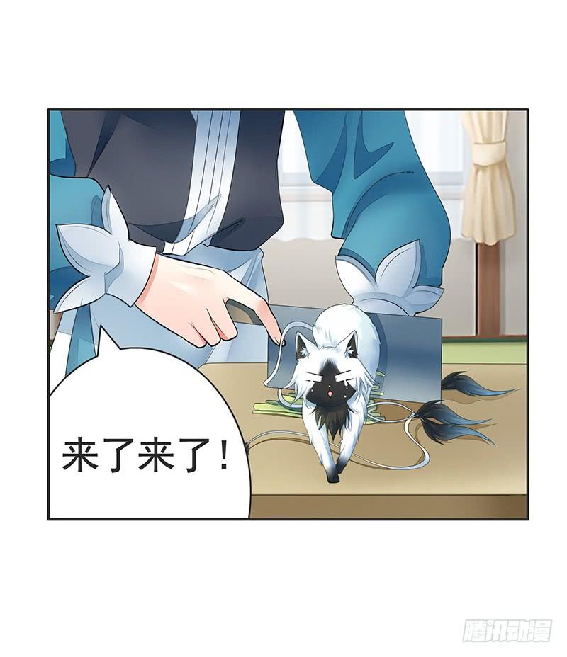 将进酒 赏心乐事谁家院 第17页