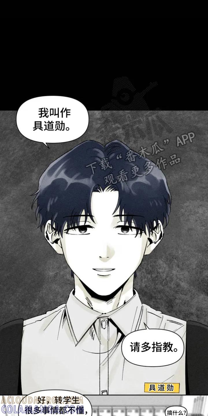 《强人锁男》第1章：相遇 第17页