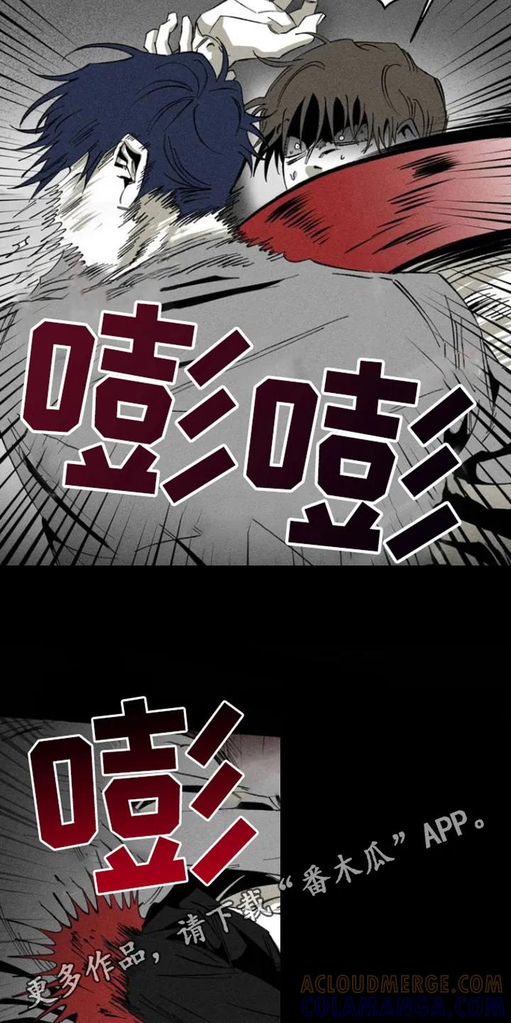 《强人锁男》第1章：相遇 第5页