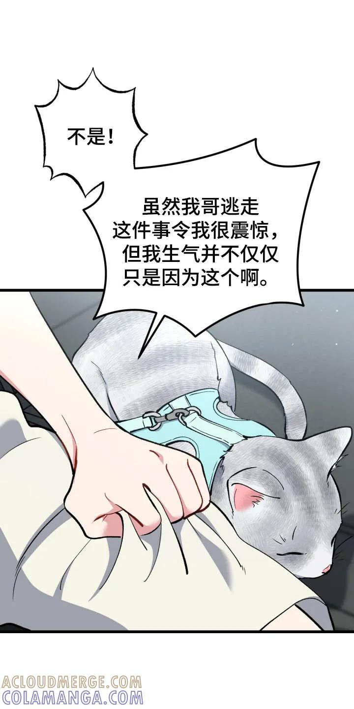《快穿救赎》第101章：生气 第13页