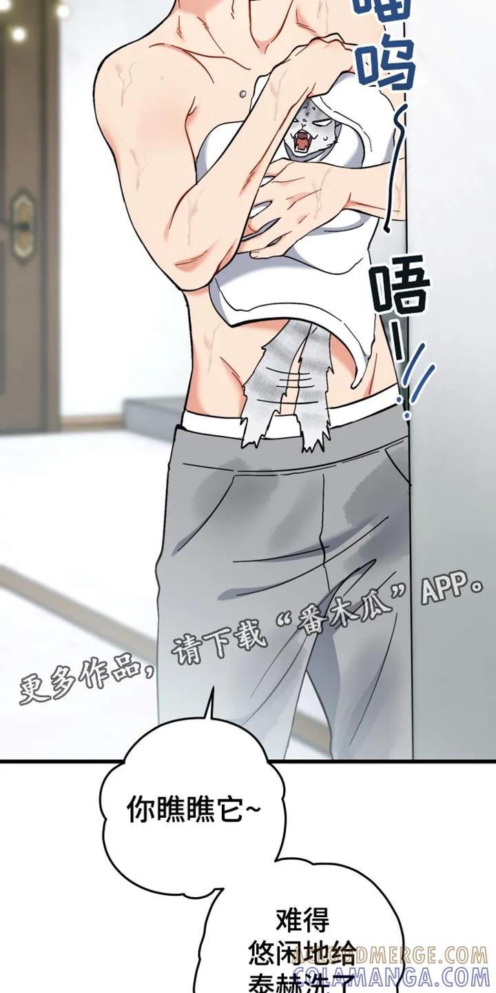 《快穿救赎》第109章：模糊 第33页
