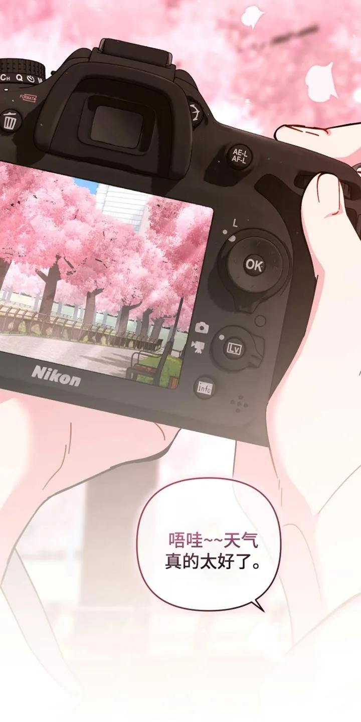 《快穿救赎》第117章：唯一的永远 第12页