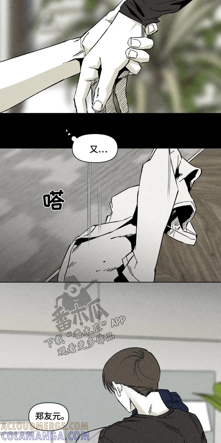 《强人锁男》第30章：没有说谎 第19页