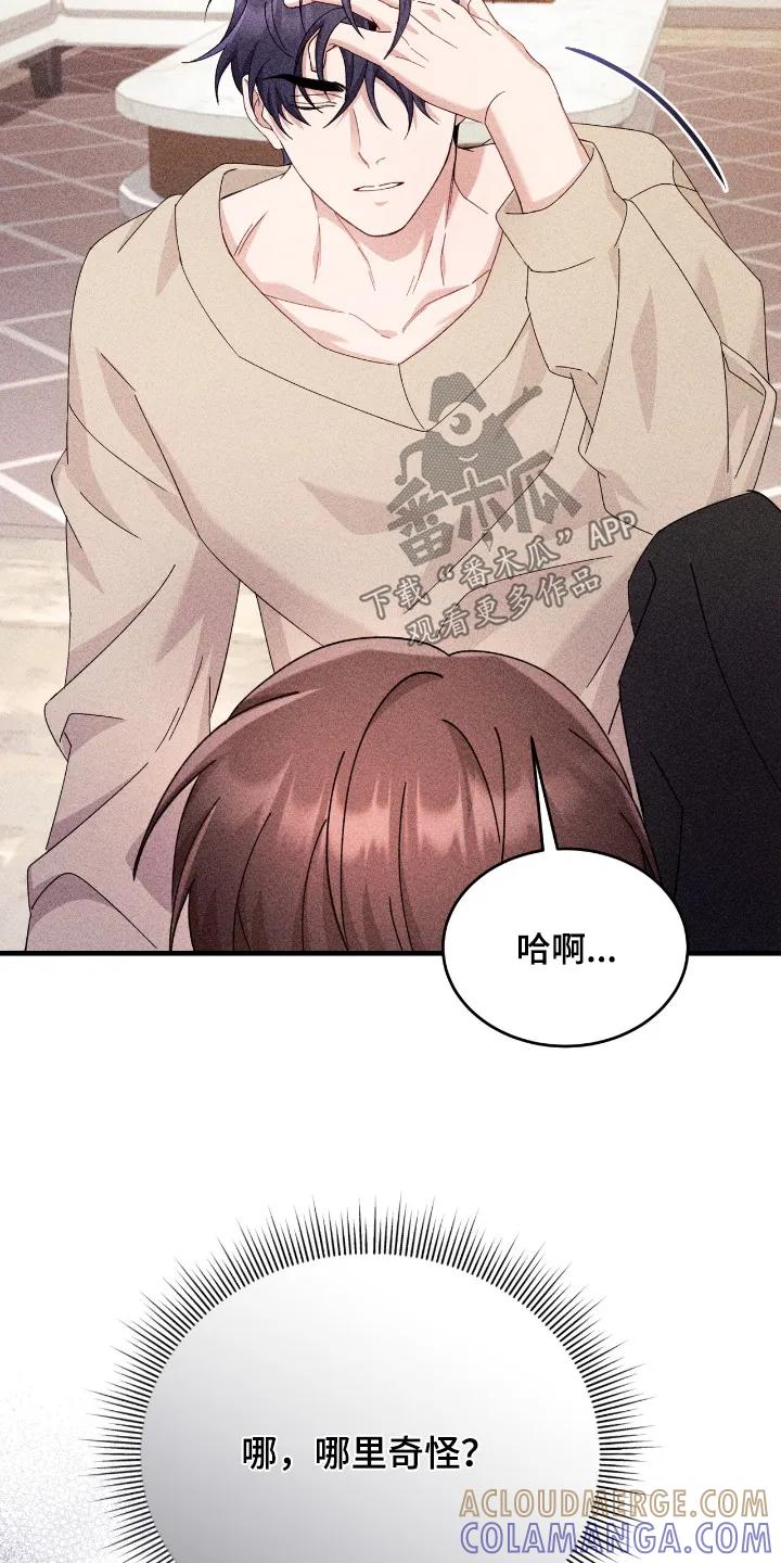 《危情三人戏》第44章：哪里奇怪了 第19页