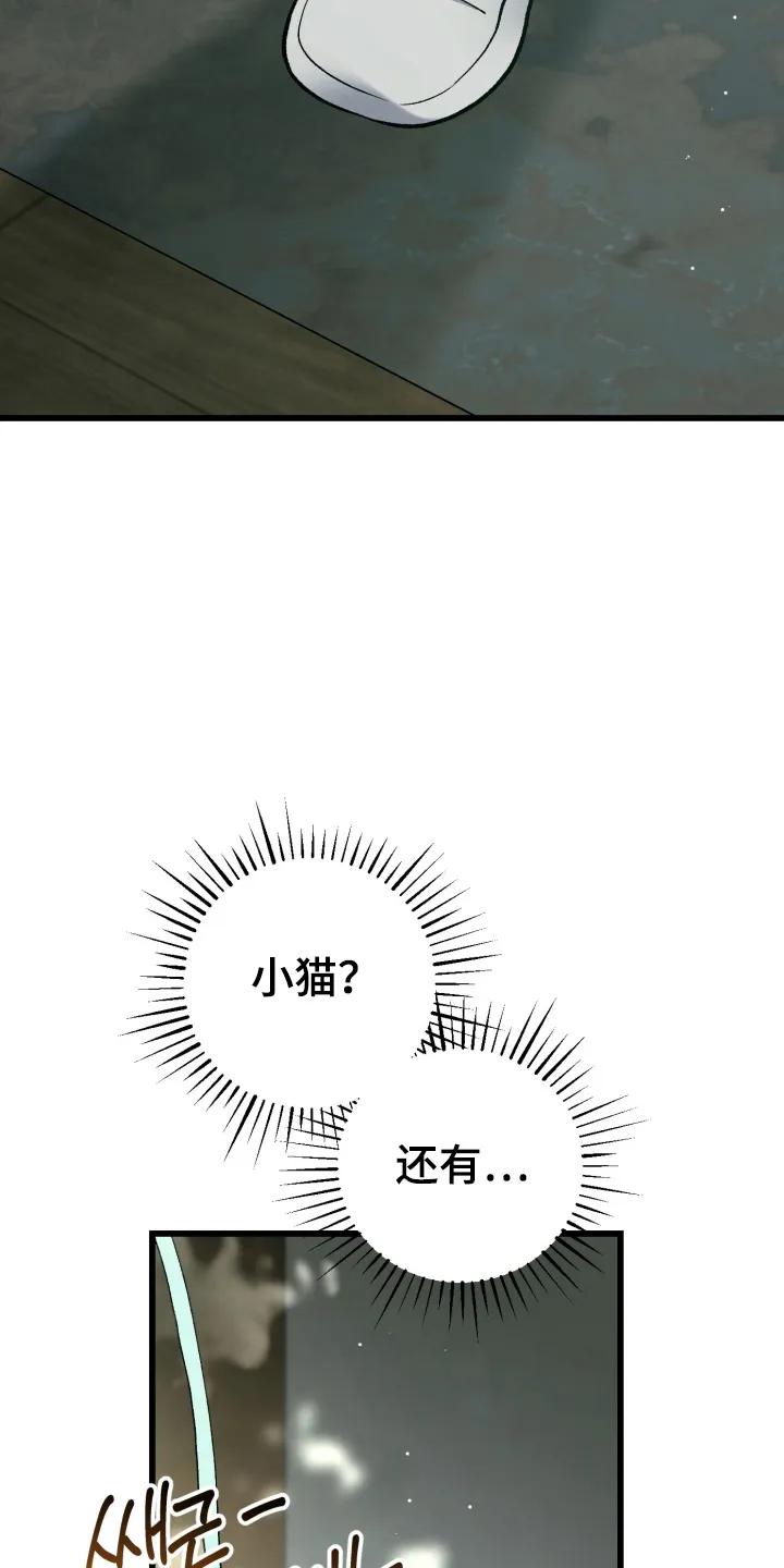 《快穿救赎》第94章：找上门 第4页