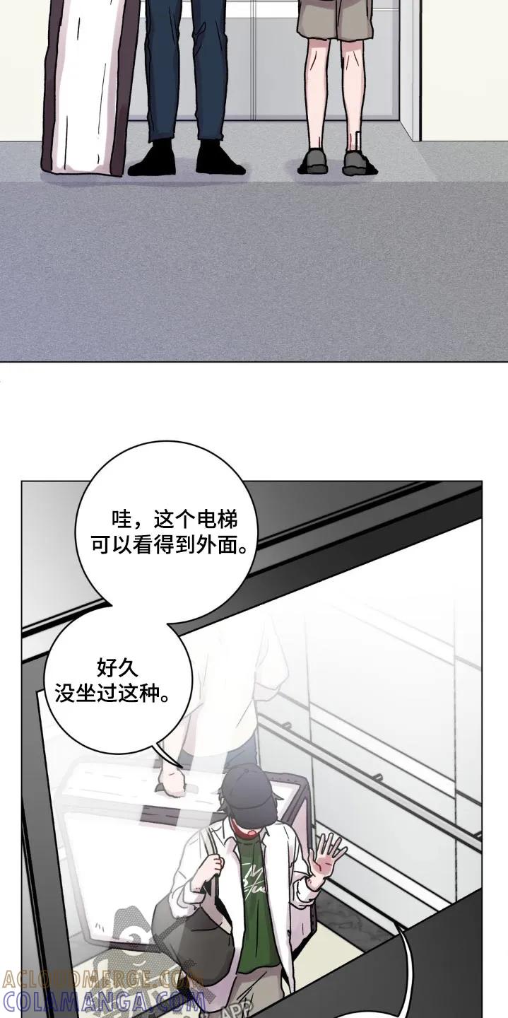 《复生之缘》第96章：这么高 第15页