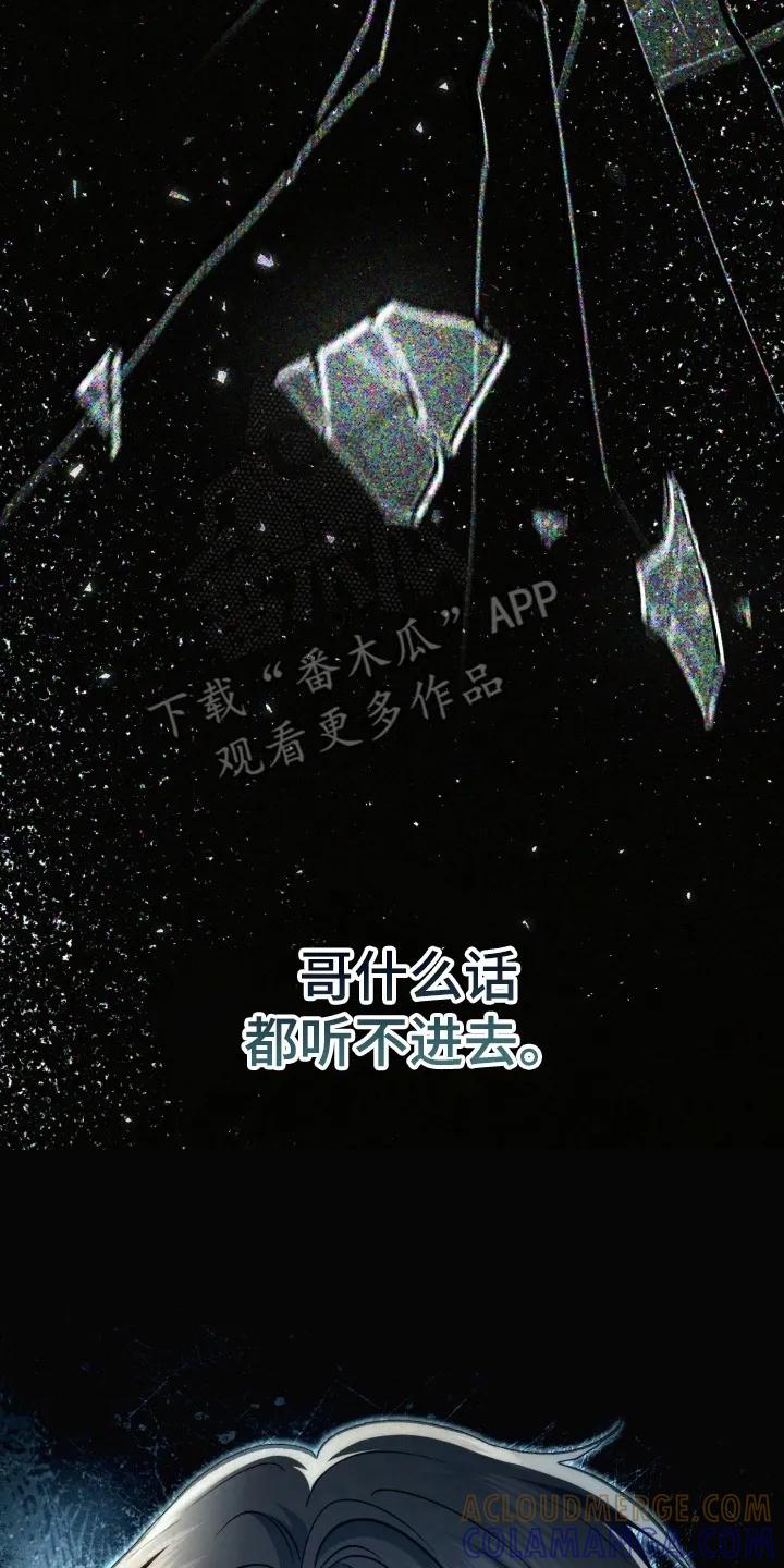 《快穿救赎》第98章：掉下山崖 第4页