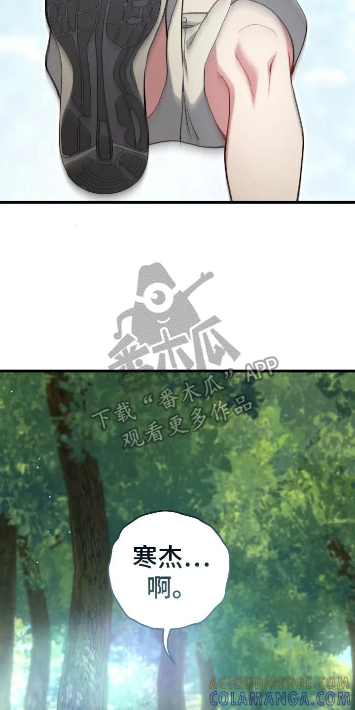 《快穿救赎》第98章：掉下山崖 第43页