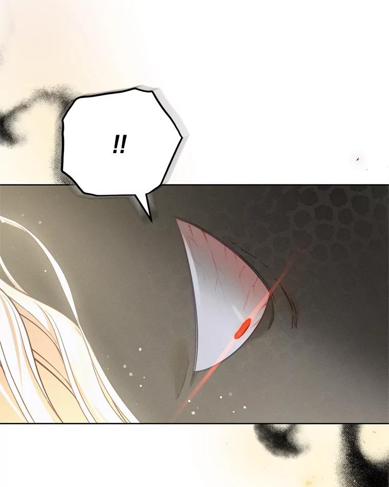 《成为被诅咒的公爵家的女主人》12.使用女神神力 第30页