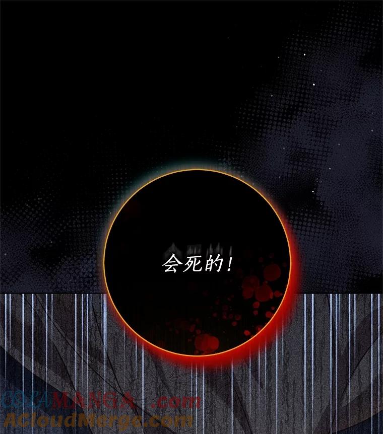 《成为被诅咒的公爵家的女主人》14.女神的诅咒 第117页