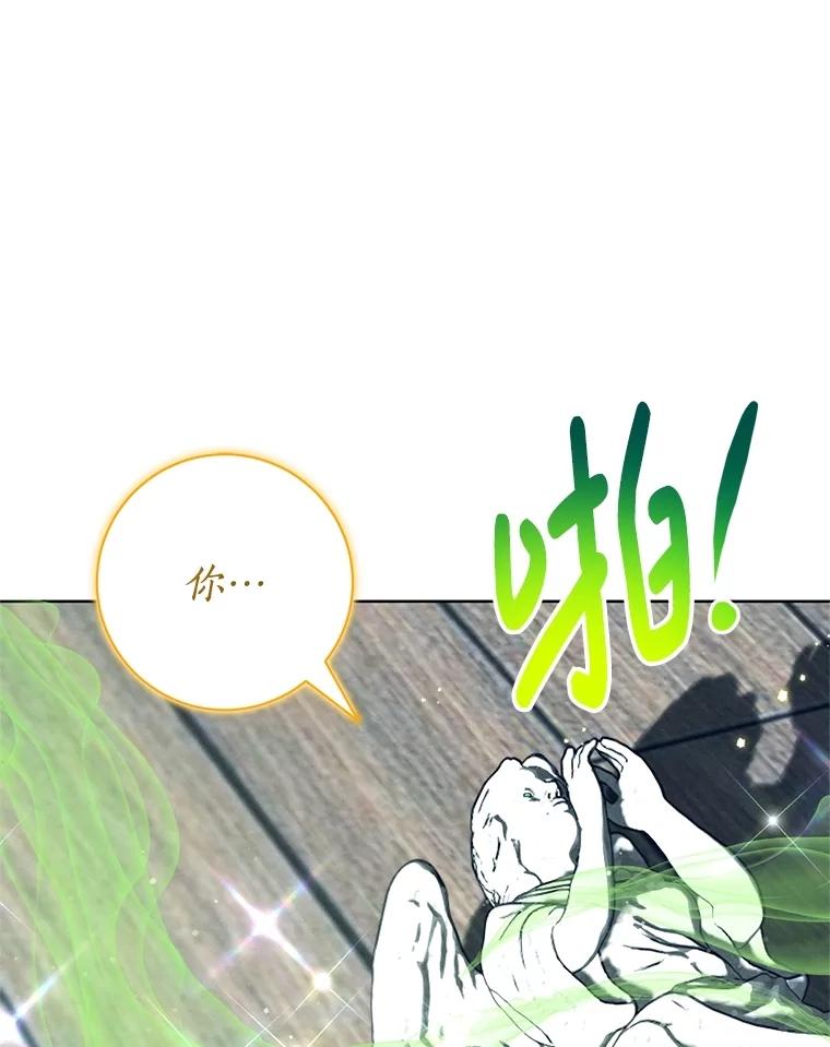 《成为被诅咒的公爵家的女主人》14.女神的诅咒 第28页