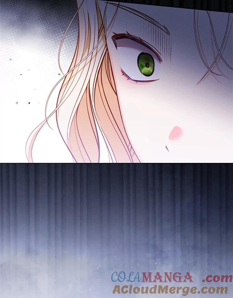 《成为被诅咒的公爵家的女主人》16.发生争执 第29页