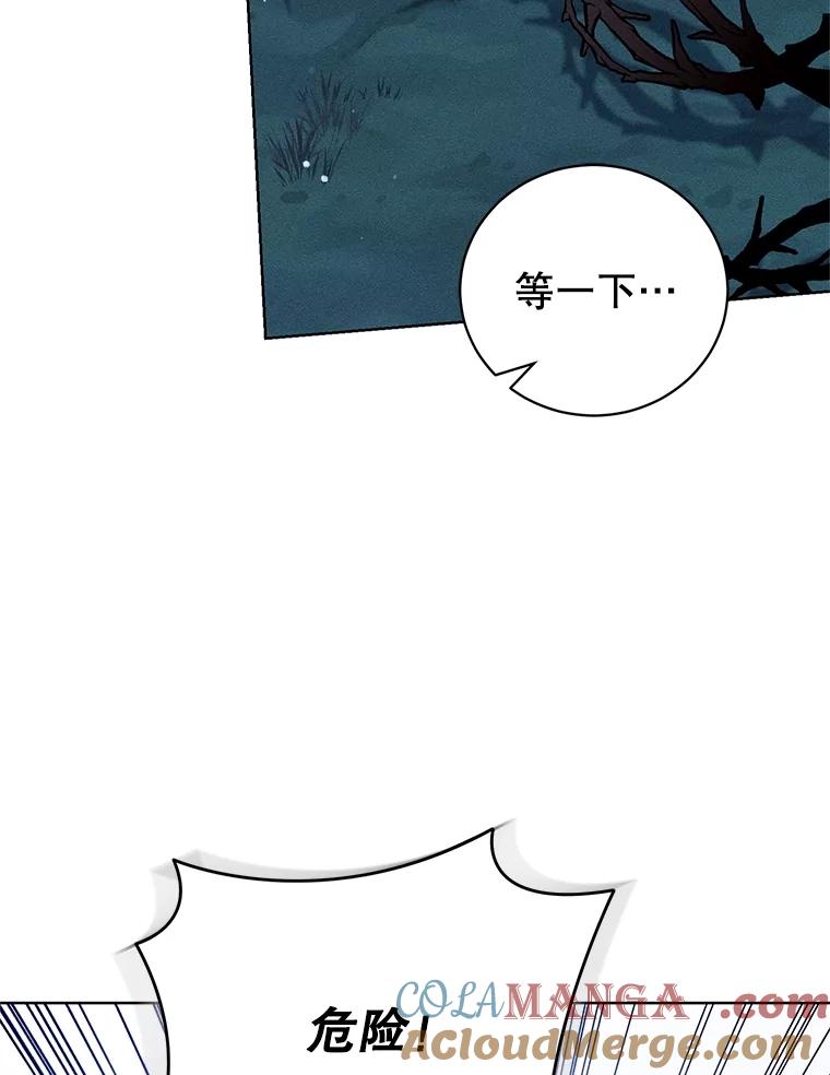 《成为被诅咒的公爵家的女主人》30.夜访帕贝尔 第41页