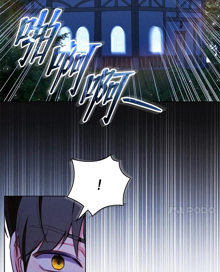 《成为被诅咒的公爵家的女主人》32.亲自去见她 第104页