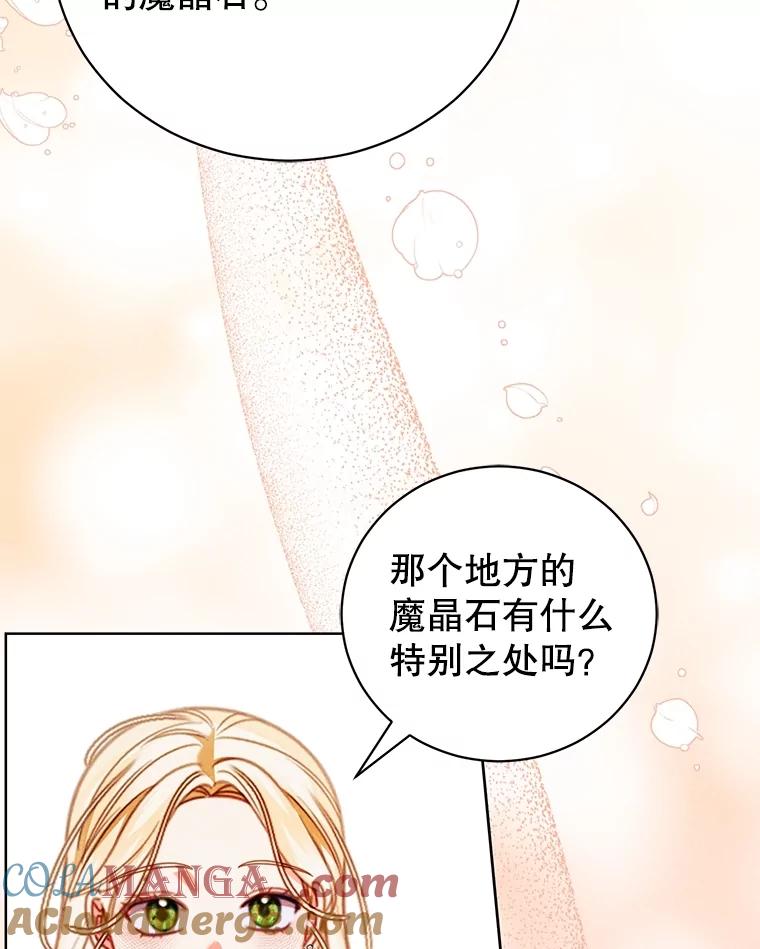 《成为被诅咒的公爵家的女主人》34.操纵玛那 第9页