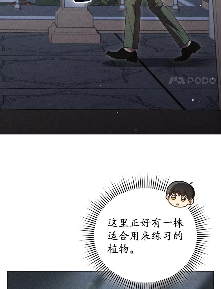 《成为被诅咒的公爵家的女主人》34.操纵玛那 第95页