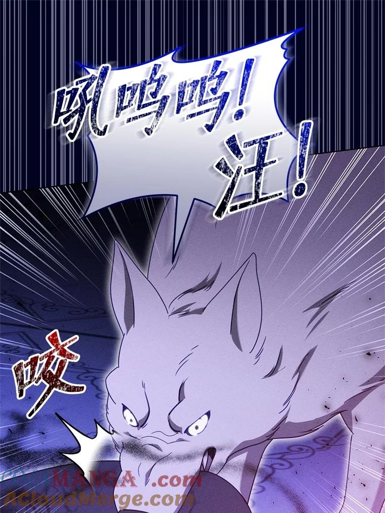 《成为被诅咒的公爵家的女主人》35.奇怪的耶勒希 第33页