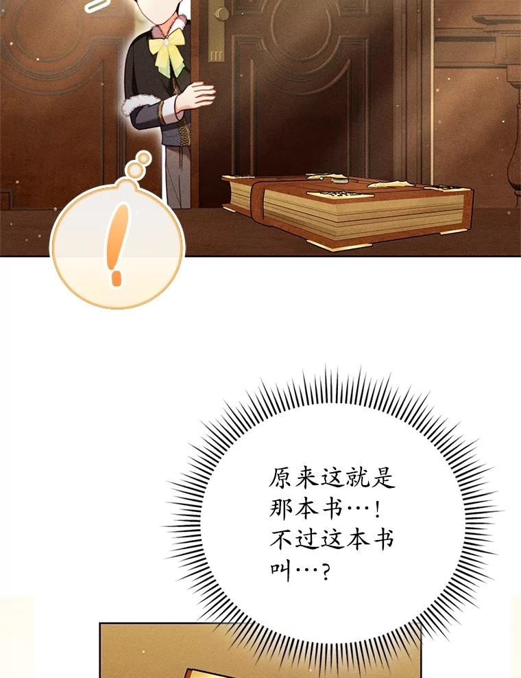 《成为被诅咒的公爵家的女主人》37.古代的标记 第71页