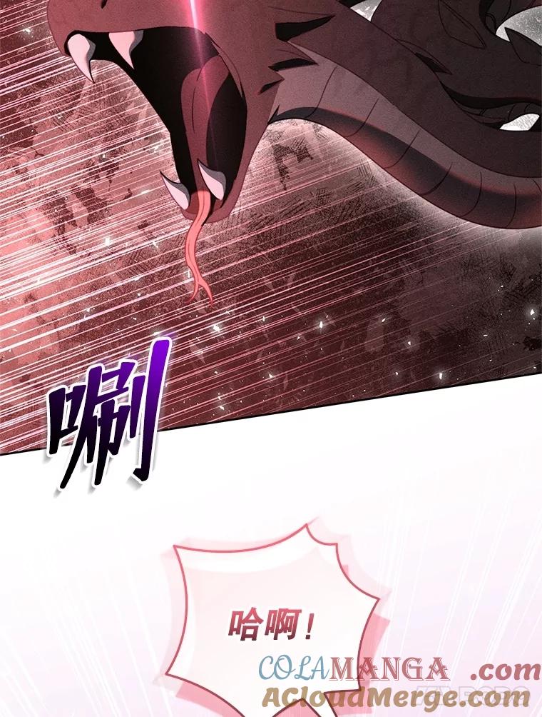 《成为被诅咒的公爵家的女主人》37.古代的标记 第117页